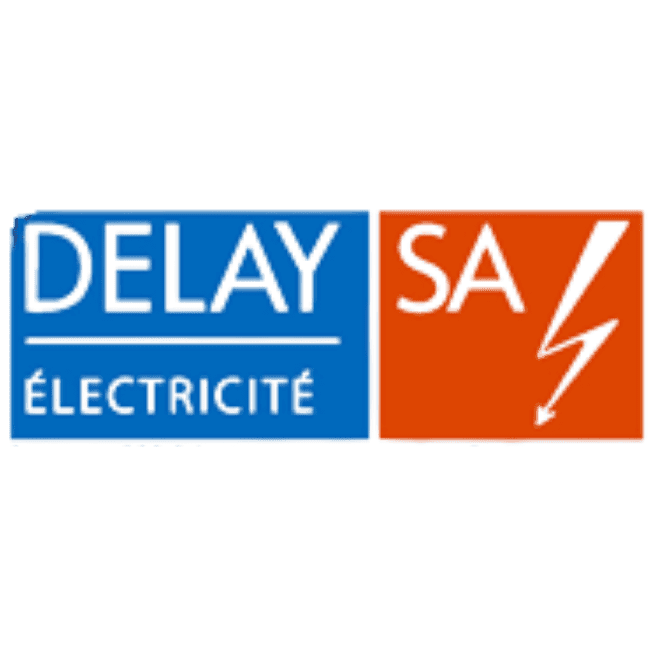 Logo Delay Electricité SA