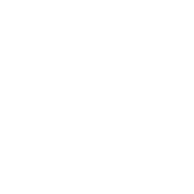 Logo PFISTER ET CIE